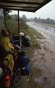 RWT 0216 244-04 Denmark Rain